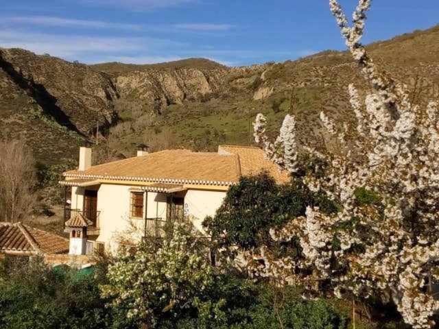 Casa Rural Las Huertas De Roque Monachil Rom bilde