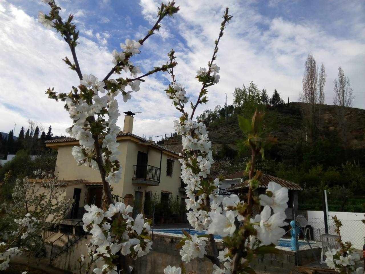 Casa Rural Las Huertas De Roque Monachil Rom bilde